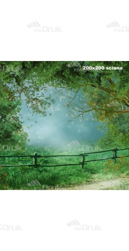 Tło fotograficzne Art_394