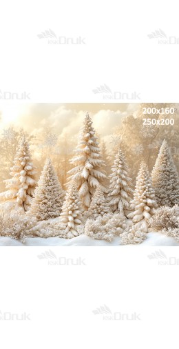 Tło fotograficzne Boże Narodzenie B_755