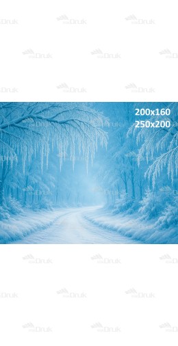 Tło Fotograficzne Zimowe – Ośnieżona Droga w Lesie B_1061