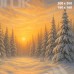 Tło fotograficzne – Zimowy las o zachodzie słońca B_1134