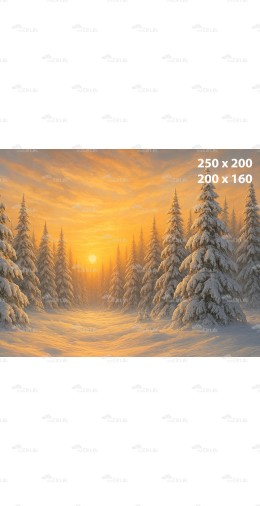 Tło fotograficzne – Zimowy las o zachodzie słońca | B_1134