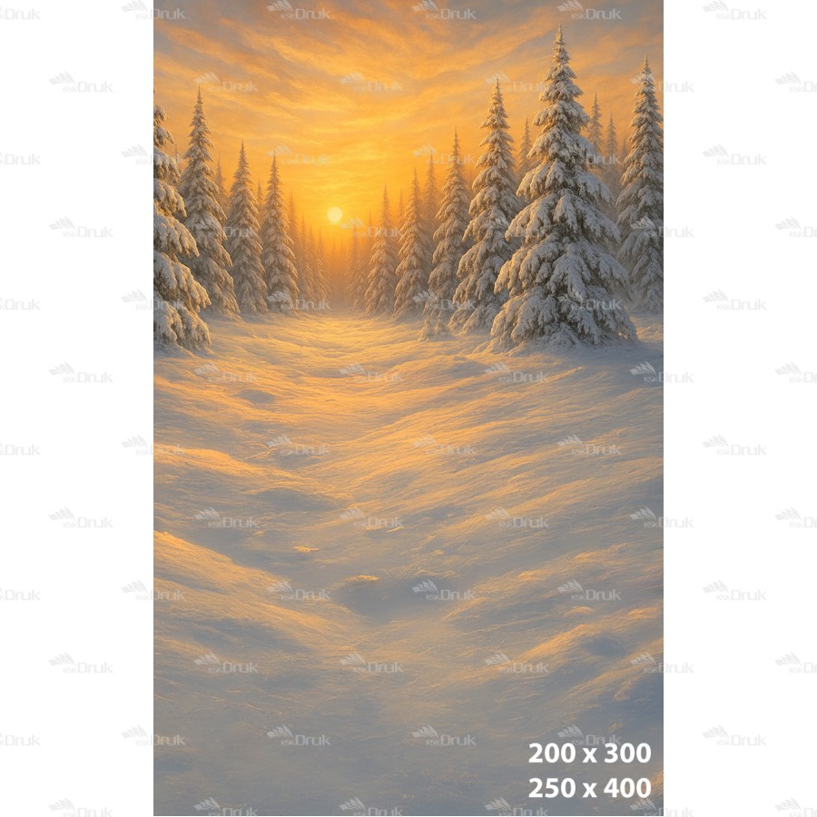 Tło fotograficzne – Zimowy las o zachodzie słońca B_1134