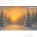 Tło fotograficzne – Zimowy las o zachodzie słońca B_1134