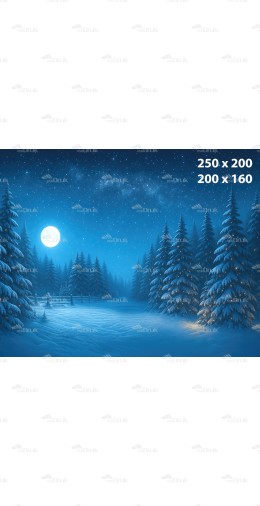 Tło fotograficzne – Noc zimowa z księżycem i rozgwieżdżonym niebem | B_1137