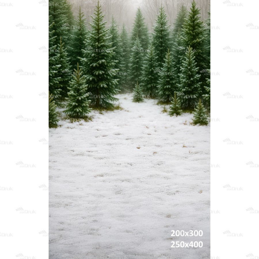 Tło świąteczne – zimowy las świerkowy | B_1259