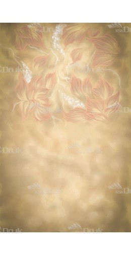 Tło fotograficzne F_134 