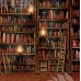  Tło fotograficzne 1117 szkoła, biblioteka, dywan