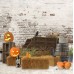 Tło fotograficzne 1132 jesień, Halloween, dynia
