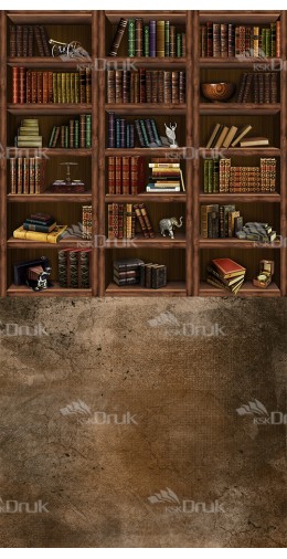 Tło fotograficzne 1333 szkoła, biblioteka, dywan