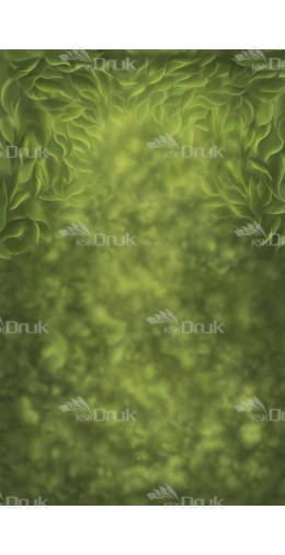 Tło fotograficzne 1633 