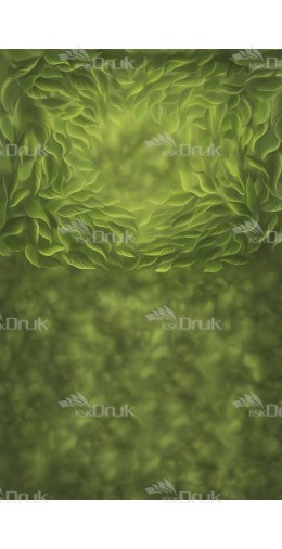 Tło fotograficzne 1634