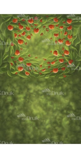 Tło fotograficzne 1635