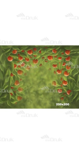 Tło fotograficzne 1636