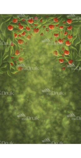 Tło fotograficzne 1636