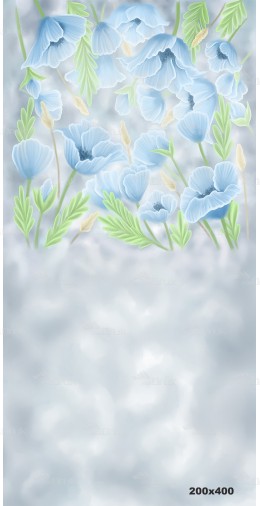 Tło fotograficzne 1675 kwiaty, niebieskie maki