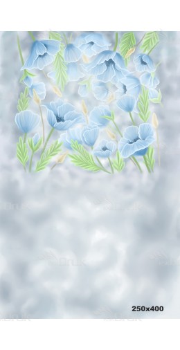 Tło fotograficzne 1675 kwiaty, niebieskie maki