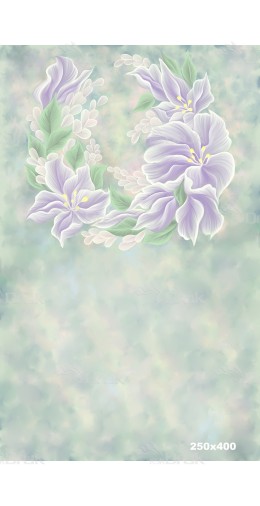 Tło fotograficzne 1686