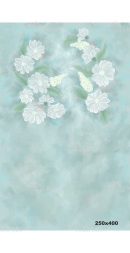 Tło fotograficzne 1722