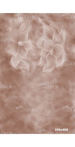 Tło fotograficzne 1773