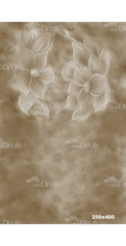 Tło fotograficzne 1775