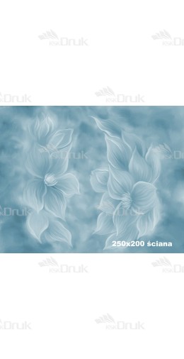 Tło fotograficzne 1776