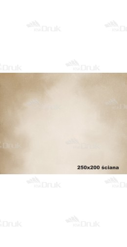 Tło fotograficzne 1869
