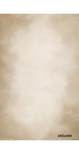 Tło fotograficzne 1869