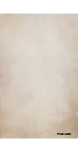 Tło fotograficzne 1874