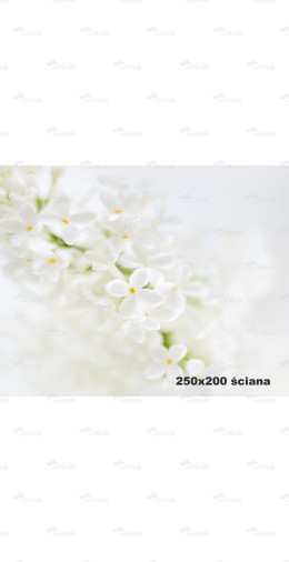 Tło fotograficzne 2108