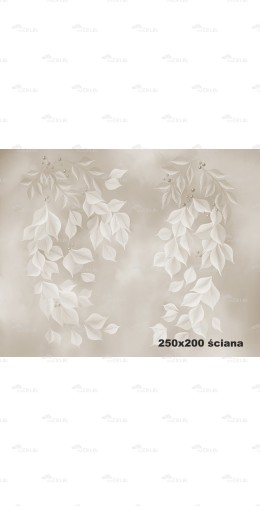 Tło fotograficzne 2119