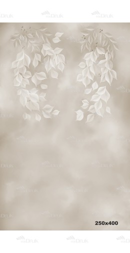 Tło fotograficzne 2119