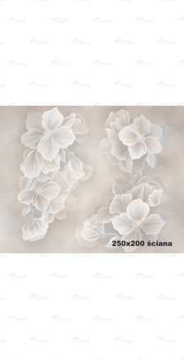 Tło fotograficzne 2120