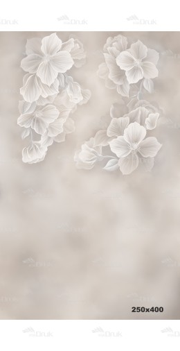 Tło fotograficzne 2120