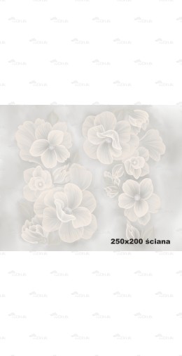 Tło fotograficzne 2123