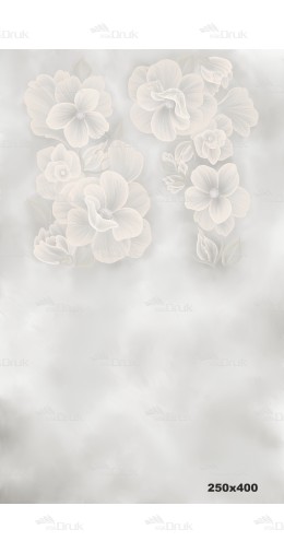 Tło fotograficzne 2123