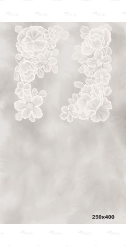 Tło fotograficzne 2154