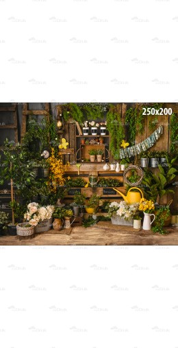 Tło fotograficzne 2220