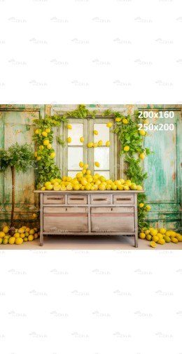 Tło fotograficzne 2477