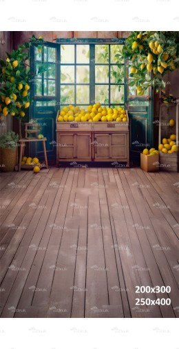 Tło fotograficzne 2480