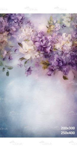 Tło fotograficzne 2538