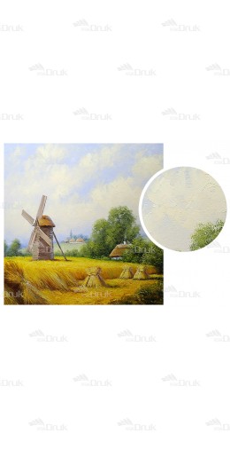 Tło fotograficzne 890 kwiaty, lato, młyn, deski