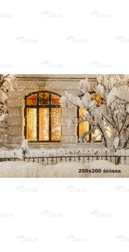 Tło fotograficzne BN_463