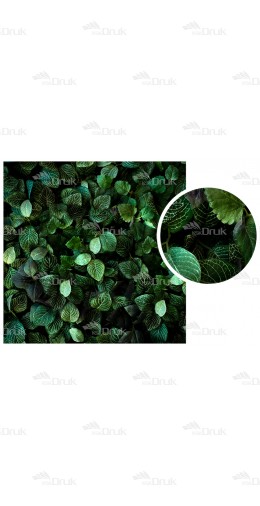 Tło fotograficzne Art 138 art
