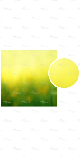 Tło fotograficzne Art 149 art