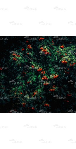 Tło fotograficzne Art 153 art