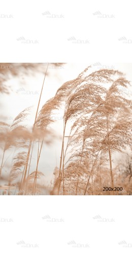 Tło fotograficzne ART_349 trawa, retro