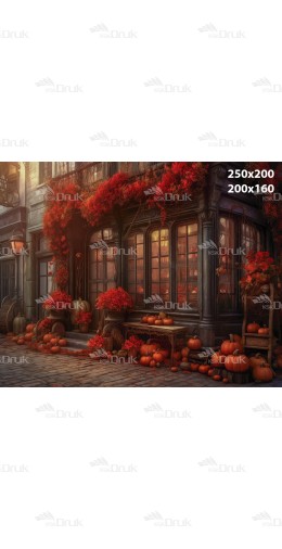 Tło fotograficzne J14
