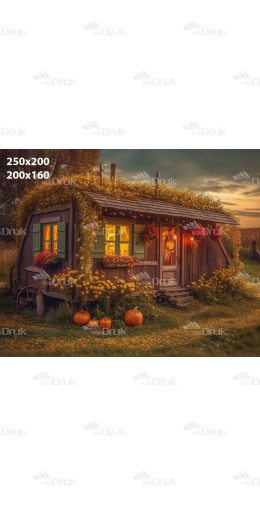 Tło fotograficzne J1