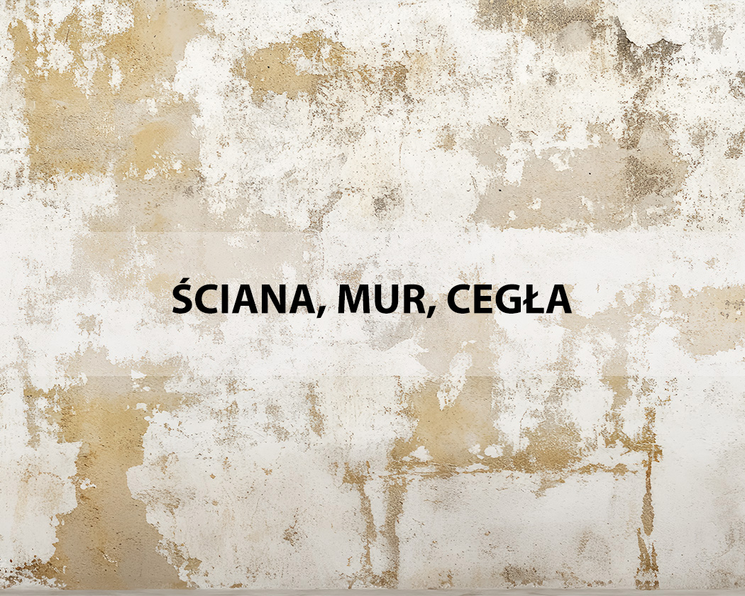 Sciana Mur Cegla
